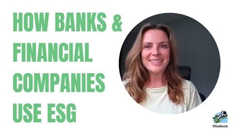 TBC Bank Group PLC Champions Sustainable Finance Practices in 2024
